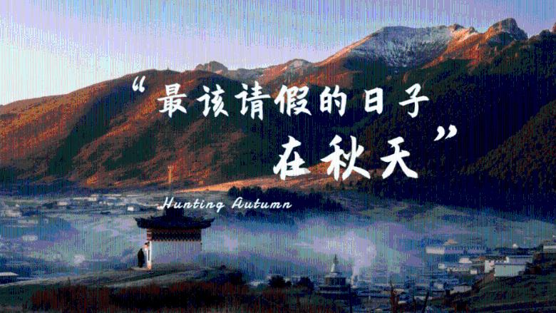 救援有趣的孔雀