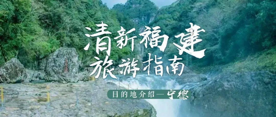 小猪佩奇饲养员